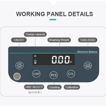 Precision Balance (200 g/1 mg)