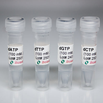 dNTP Set (100 mM per dNTP)