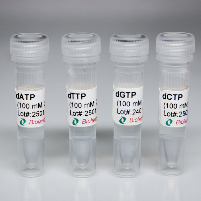 dNTP Set (100 mM per dNTP)
