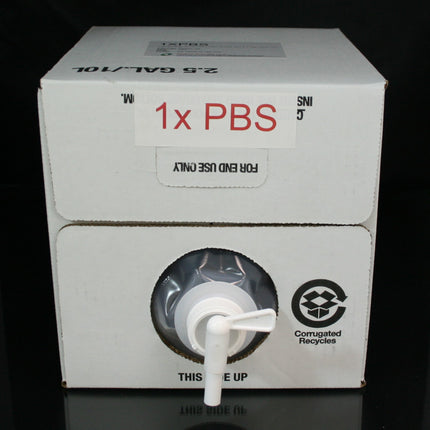 1x PBS Buffer (10 L)
