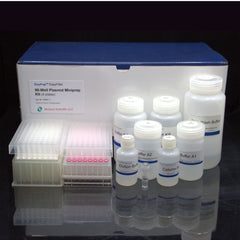Collection image for: 96-Well Miniprep Kits