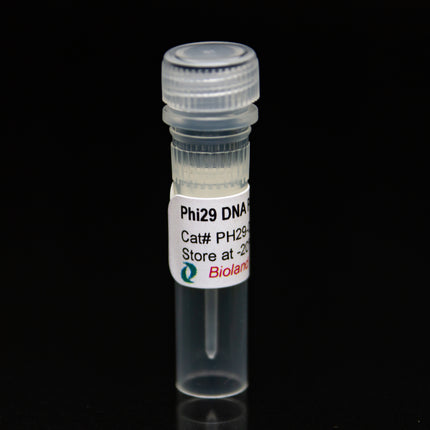 Phi29 DNA Polymerase (10U/ul, 500U)