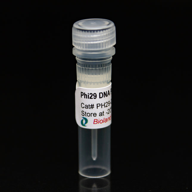 Phi29 DNA Polymerase (10U/ul, 500U)