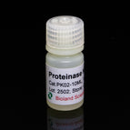 10 ml
