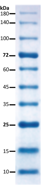 All Blue Prestained Protein Marker I (10-180kD), 0.5 ml