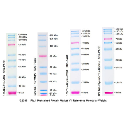 Dual Color Prestained Protein Maker I (8-195 kDa), 0.5ml