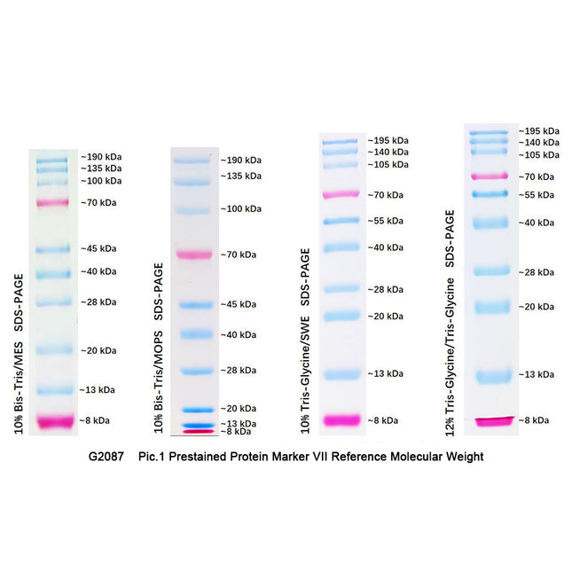 Dual Color Prestained Protein Maker I (8-195 kDa), 0.5ml