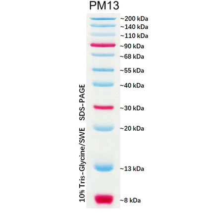 Dual Color Prestained Protein Maker III (8-200 kDa), 0.5ml