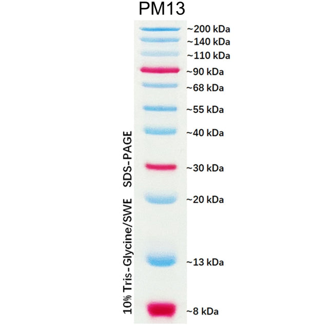 Dual Color Prestained Protein Maker III (8-200 kDa), 0.5ml