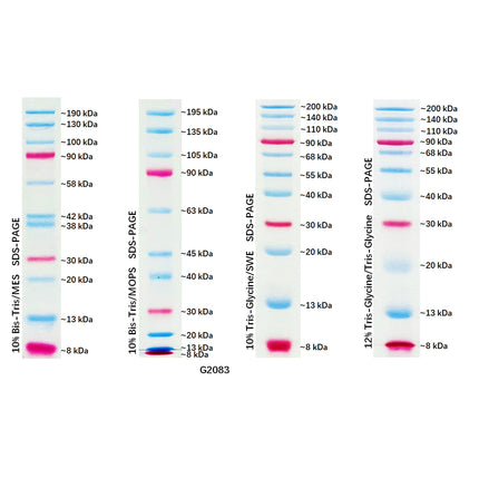 Dual Color Prestained Protein Maker III (8-200 kDa), 0.5ml