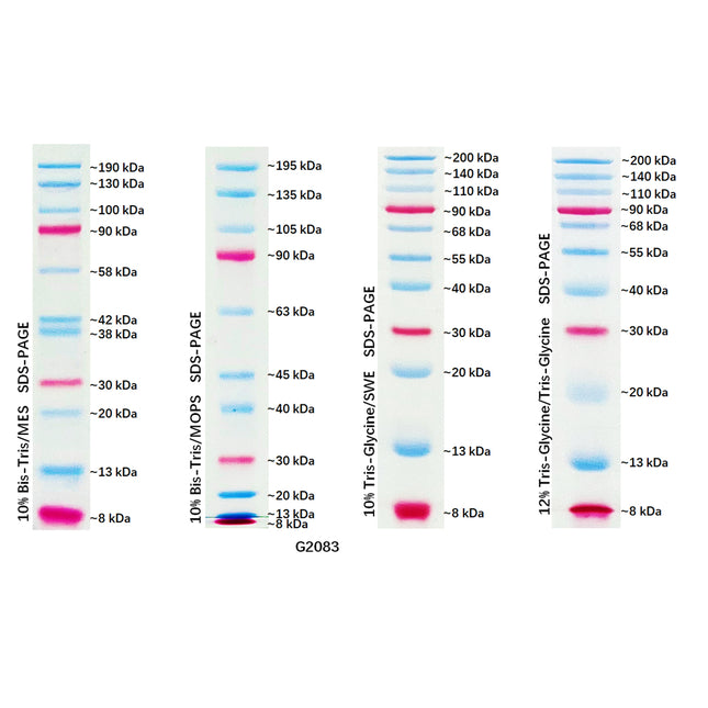 Dual Color Prestained Protein Maker III (8-200 kDa), 0.5ml