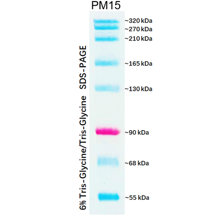 Dual Color Prestained Protein Maker V (55-320 kDa), 0.5ml