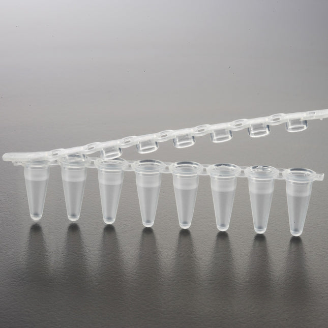 0.1ml qPCR 8-Tube Strips, Clear, Optical Caps (120 Strips)
