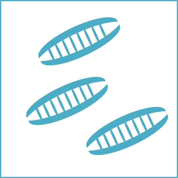 Pre-designed siRNA set A