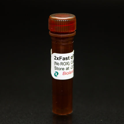 2x Fast qPCR Master Mix (No ROX)