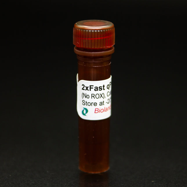 2x Fast qPCR Master Mix (No ROX)