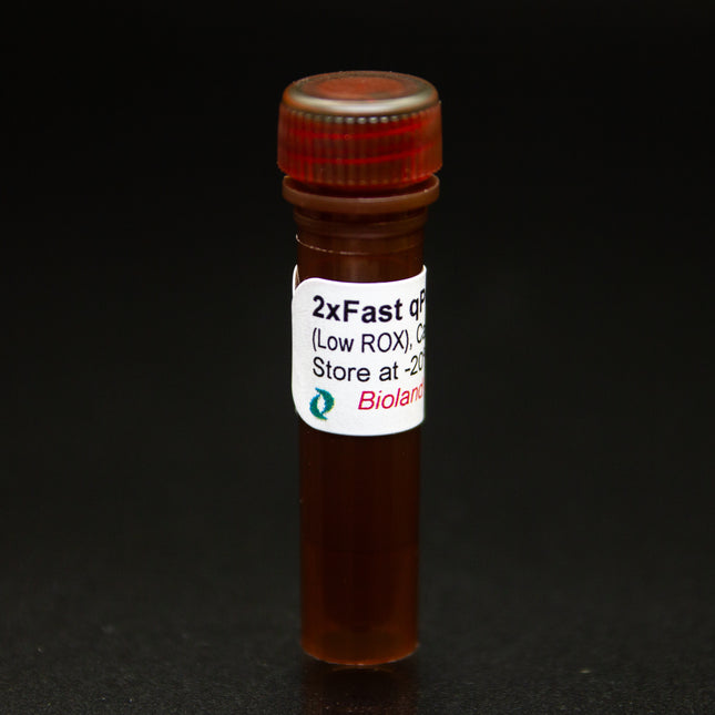2x Fast qPCR Master Mix (Low ROX)