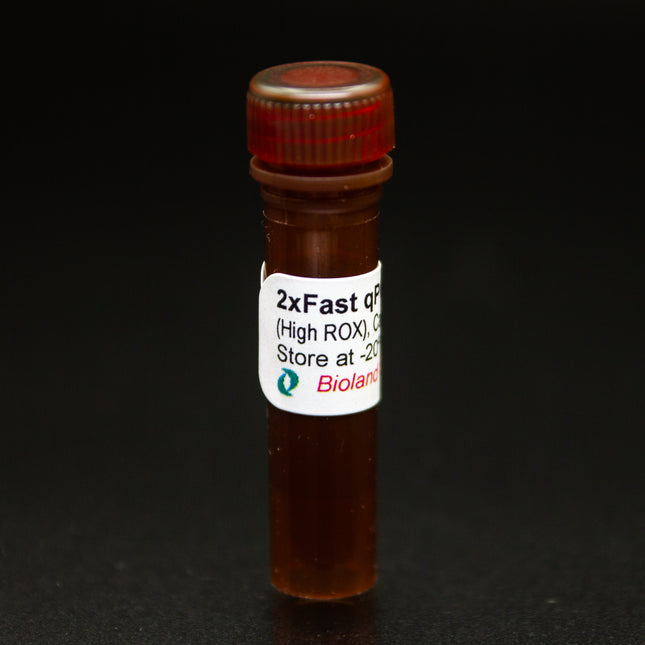 2x Fast qPCR Master Mix (High ROX)