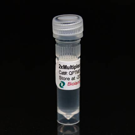 2xMultiplex qPCR Mastermix for TaqMan Probe (No ROX)