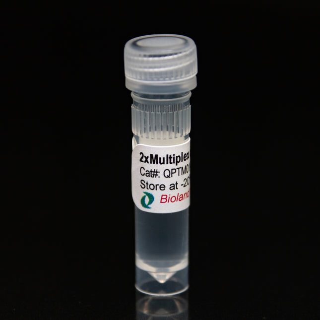 2xMultiplex qPCR Mastermix for TaqMan Probe (No ROX)