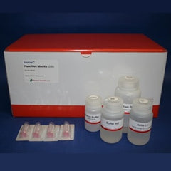 Virus RNA Miniprep Kit (250 Preps)