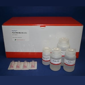 Virus RNA Miniprep Kit (250 Preps)