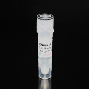 RNase A Solution (30mg/ml, 1 ml)