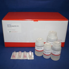 Bacterial RNA miniprep kit (250 Preps)