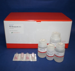 RNA Miniprep Kit with DNase I (250 Preps)