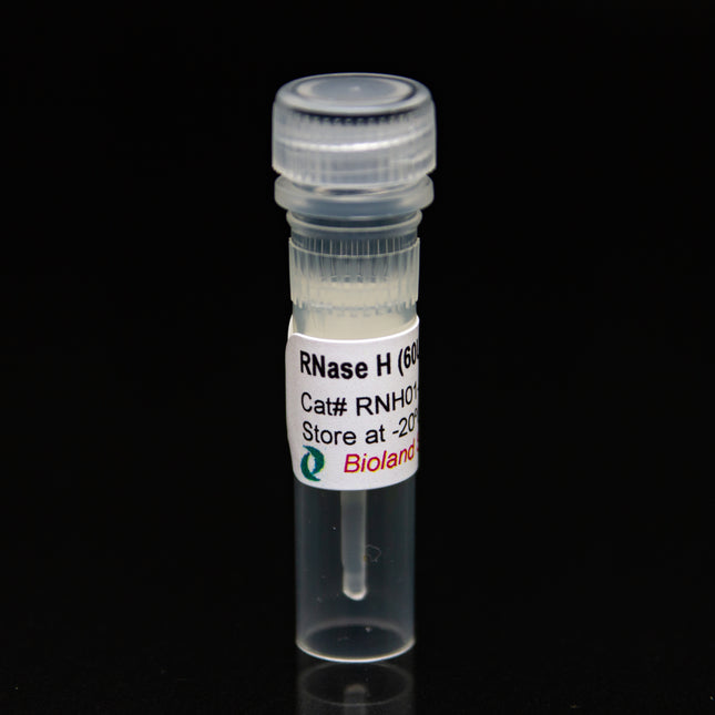 RNase H (60U/ul, 10ul)