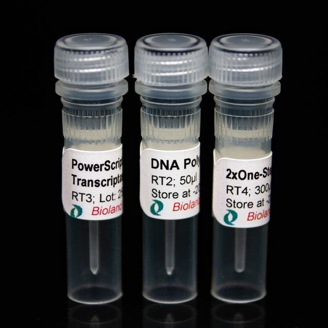 One step RT-PCR kit