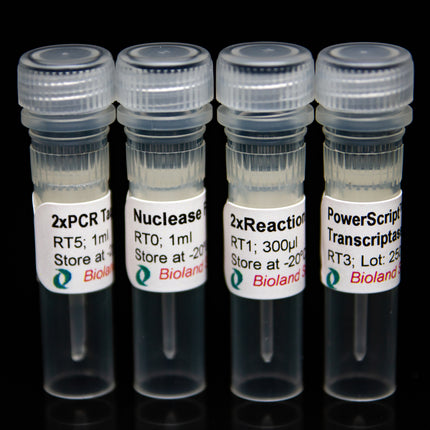 Two Step RT-PCR kit
