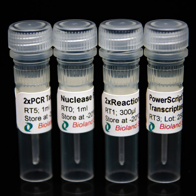 Two Step RT-PCR kit