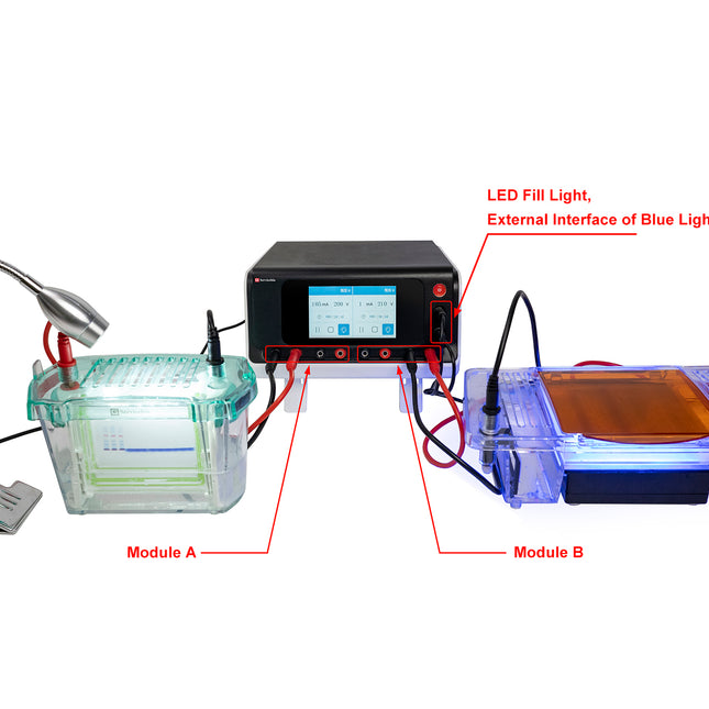Electrophoresis Power Supply (Dual Module, Programmable)
