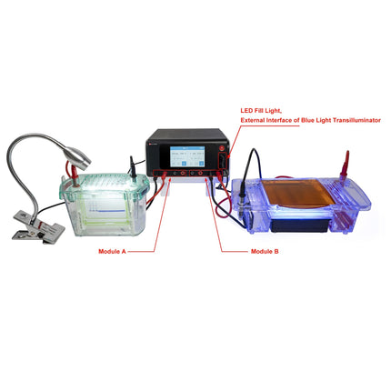 Electrophoresis Power Supply (Dual Module, Programmable)