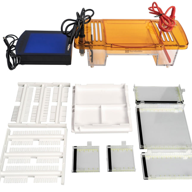 Electrophoresis System for Agarose Gels, with LED