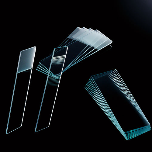 Microscope Standard Frosted Glass Slides (72 Count)