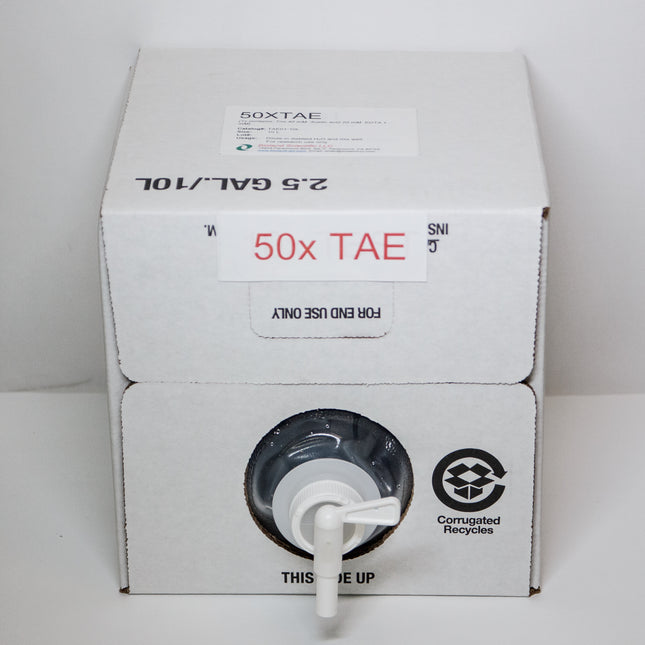 50x TAE Buffer (10 L)