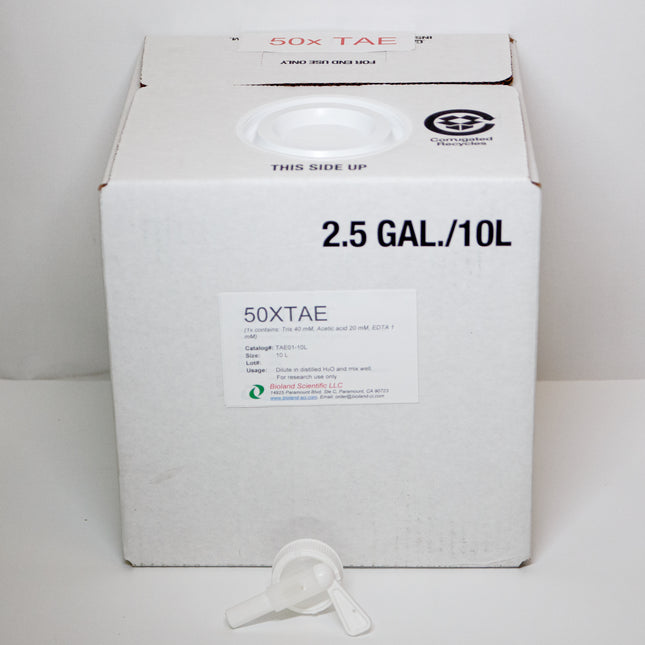 50x TAE Buffer (10 L)