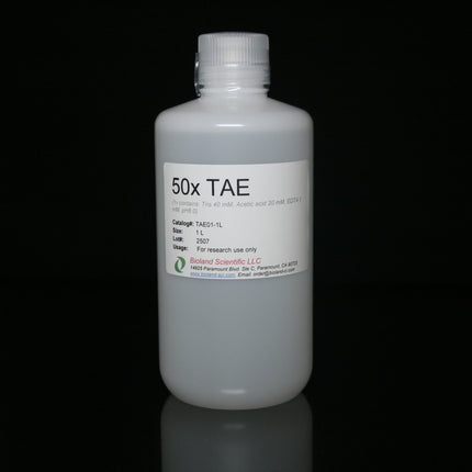 50x TAE Buffer (1 L)