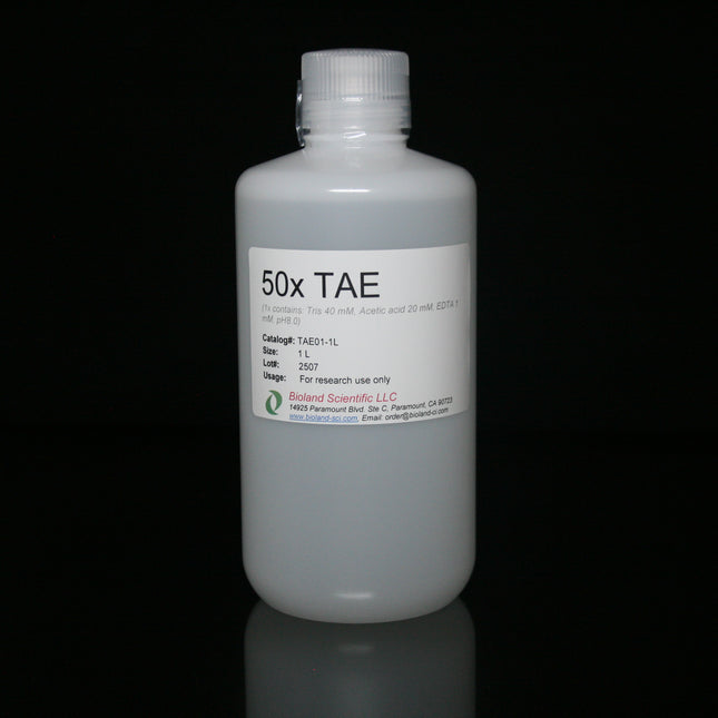 50x TAE Buffer (1 L)