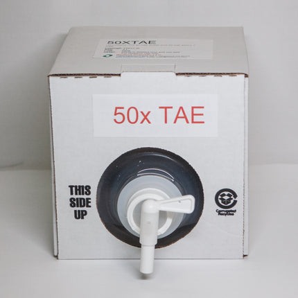 50x TAE Buffer (4 L)