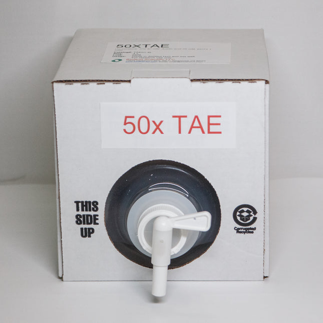 50x TAE Buffer (4 L)