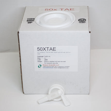 50x TAE Buffer (4 L)