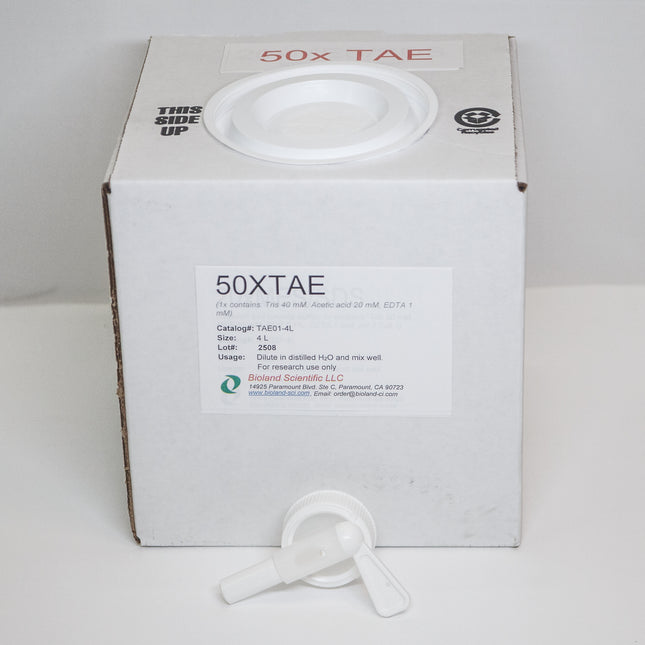 50x TAE Buffer (4 L)
