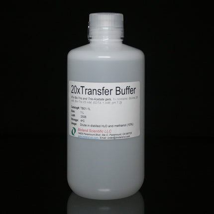 20xTransfer Buffer for Bis-Tris Gels (1 L)