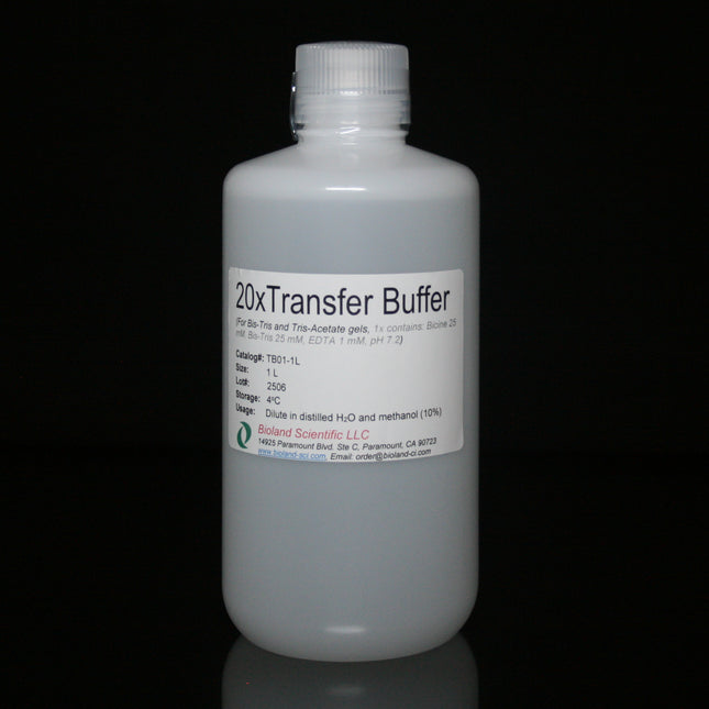 20xTransfer Buffer for Bis-Tris Gels (1 L)