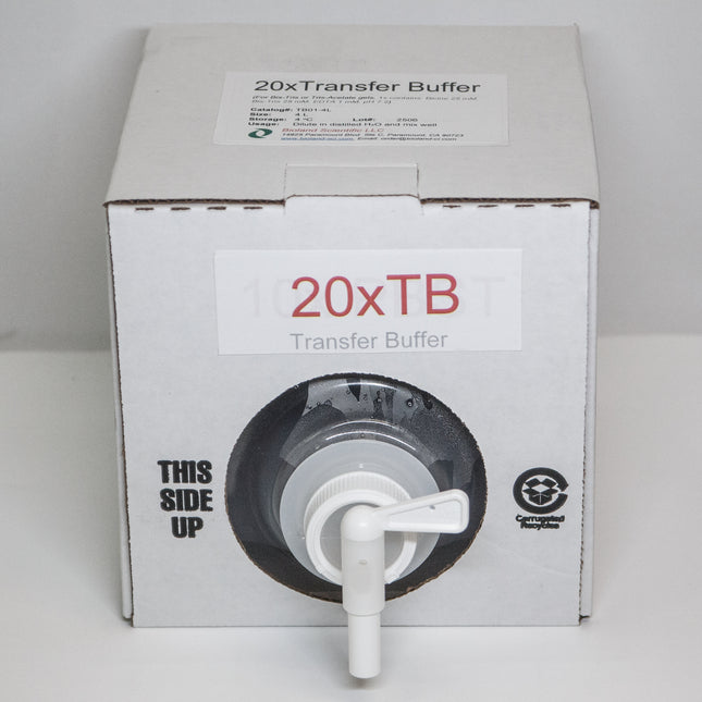 20xTransfer Buffer for Bis-Tris Gels (4 L)
