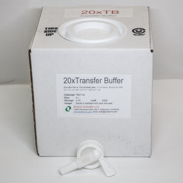 20xTransfer Buffer for Bis-Tris Gels (4 L)