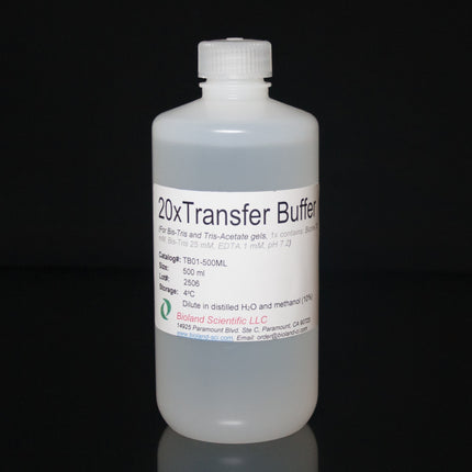 20xTransfer Buffer for Bis-Tris Gels (500 ml)